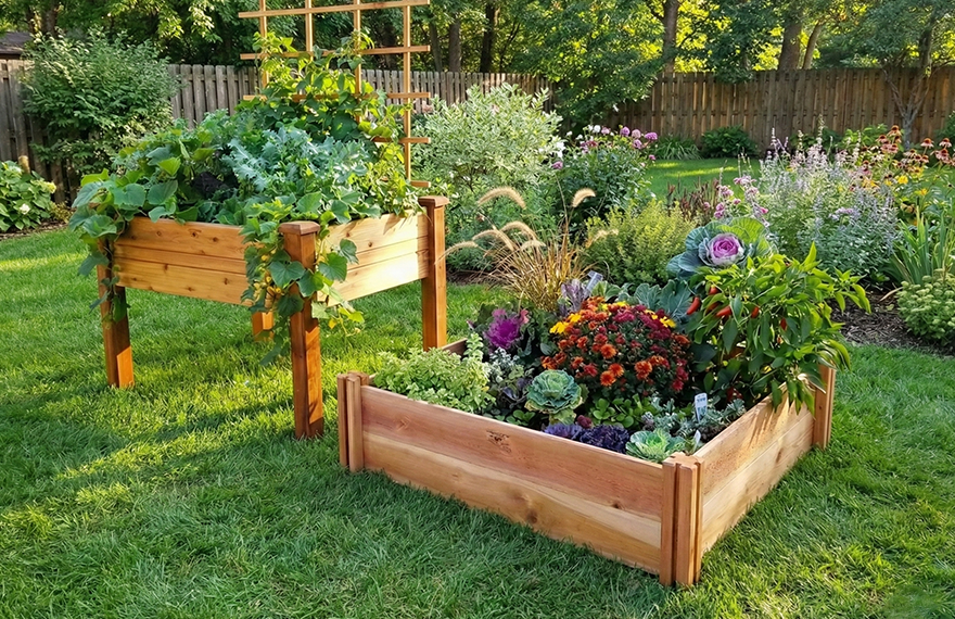 Raised Garden Beds vs. Elevated Garden Beds: Which Is Right for You?