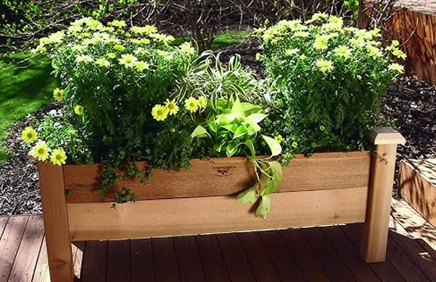 How High Should a Raised or Elevated Garden Bed Be?