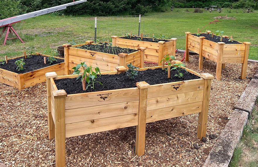 Spring Garden Bed Setup Checklist: How to Prepare for Planting Season