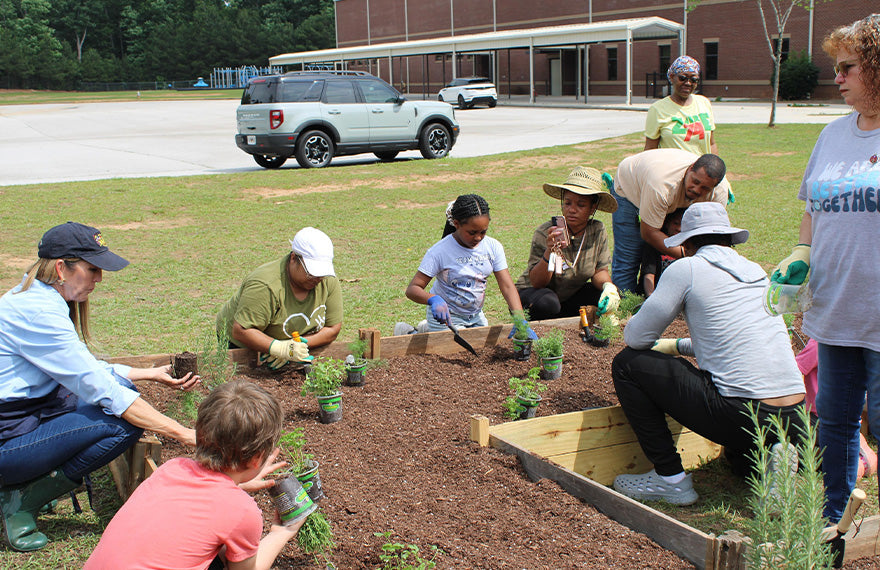 Sustainable Gardening: How Raised Garden Beds Help You Grow More While Using Less