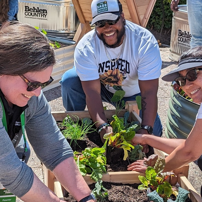 <strong>More Than Gardens</strong>