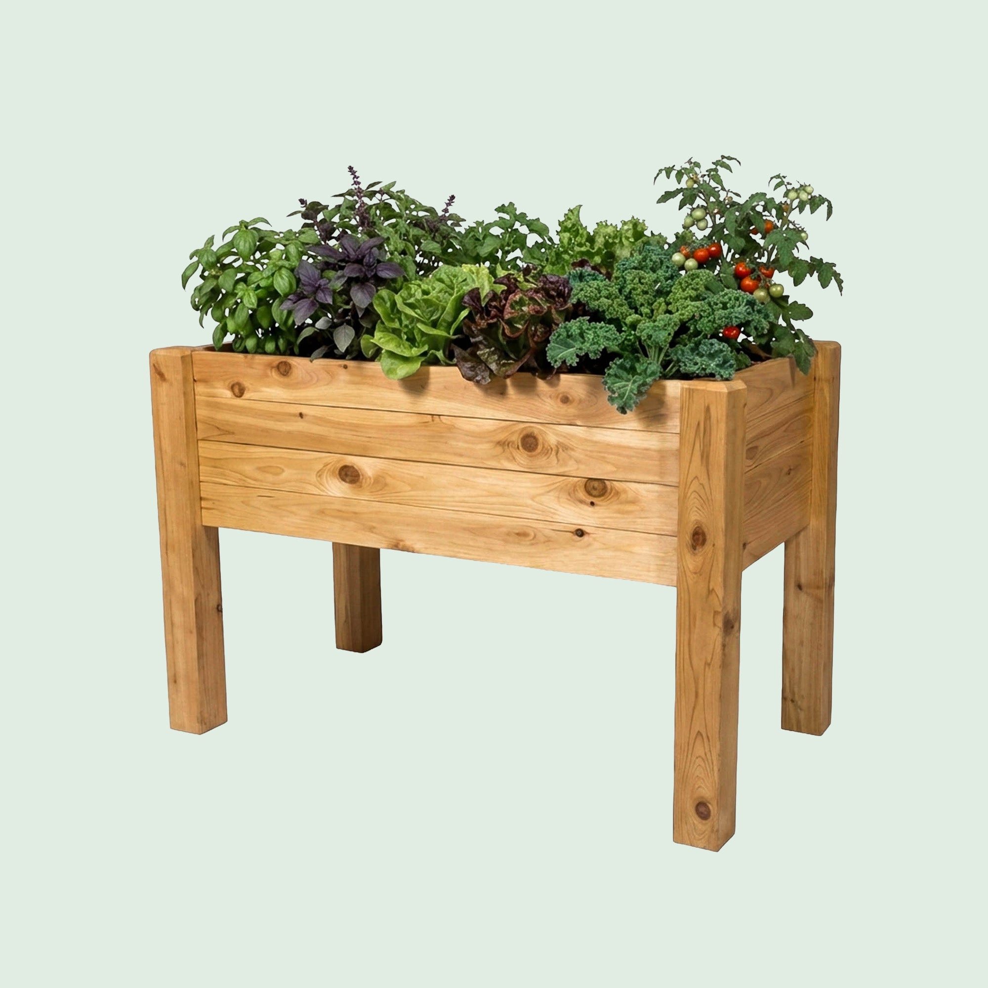 Elevated Garden Beds