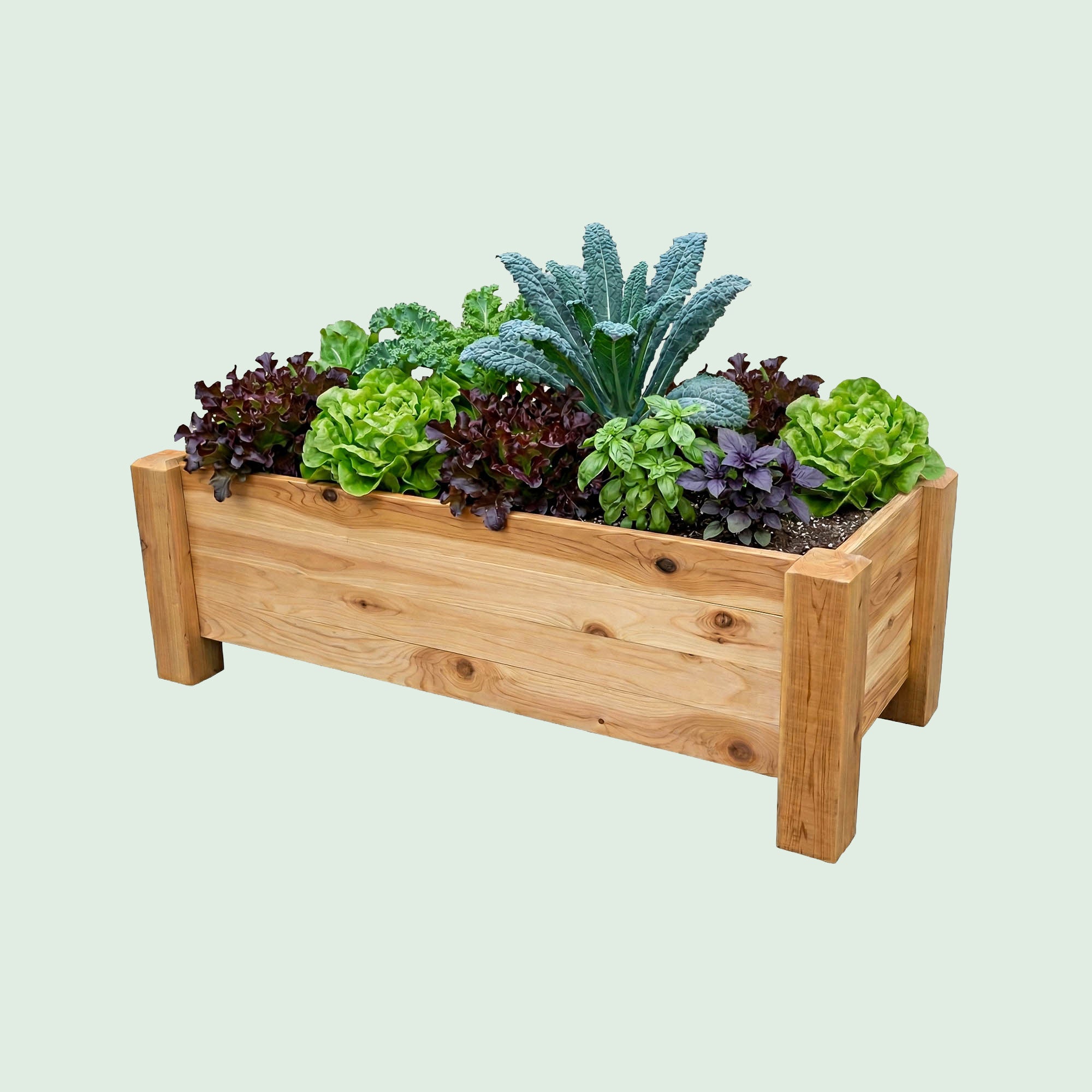 Planter Boxes