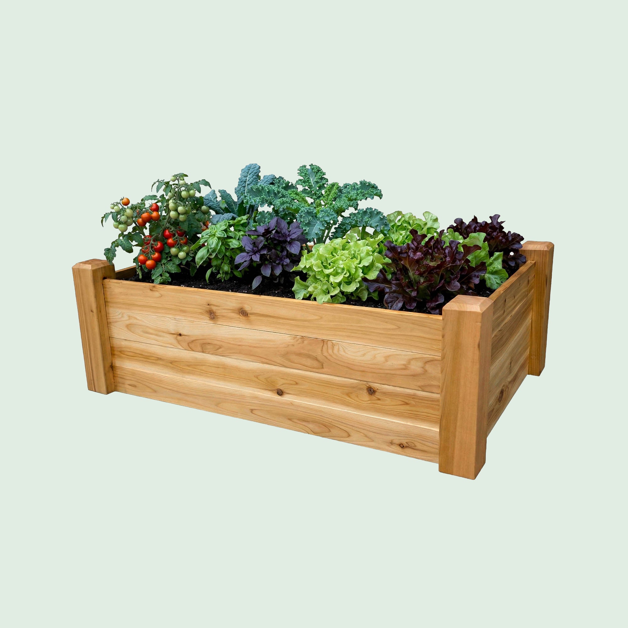 Raised Garden Bed – 24” x 48” Cedar Planter – Gronomics