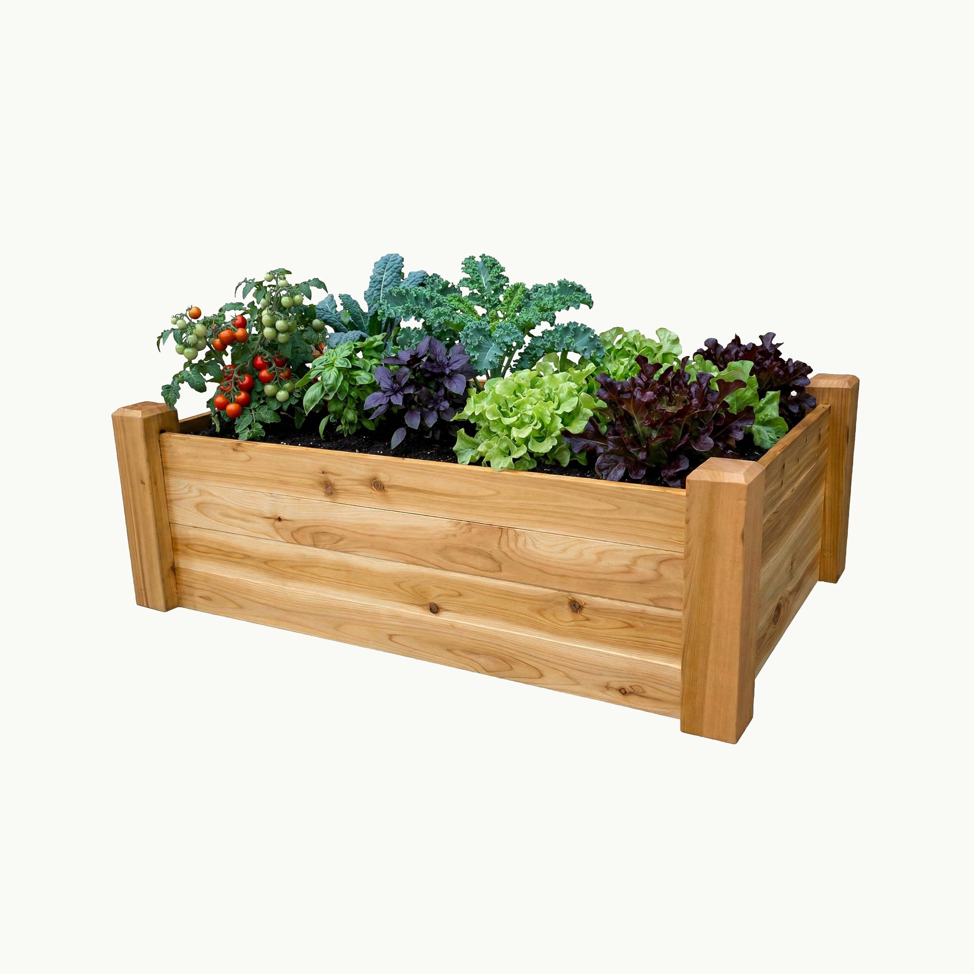 Raised Garden Bed – 24” x 48” Cedar Planter – Gronomics