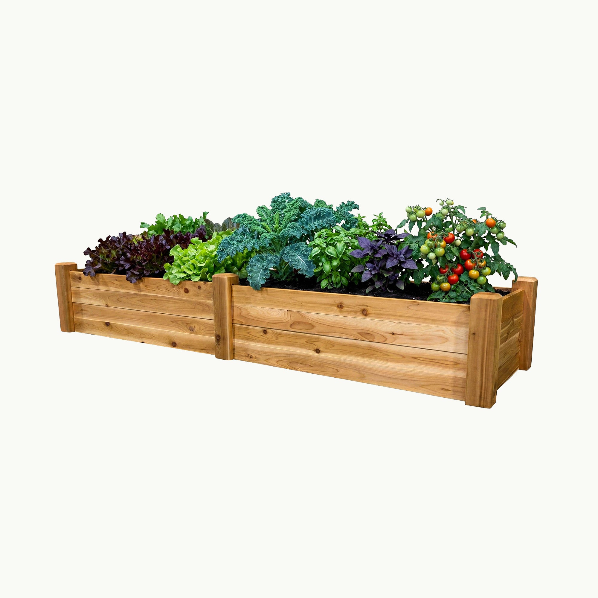 Raised Garden Bed – 24” x 95” – 10.5” Deep Cedar Planter