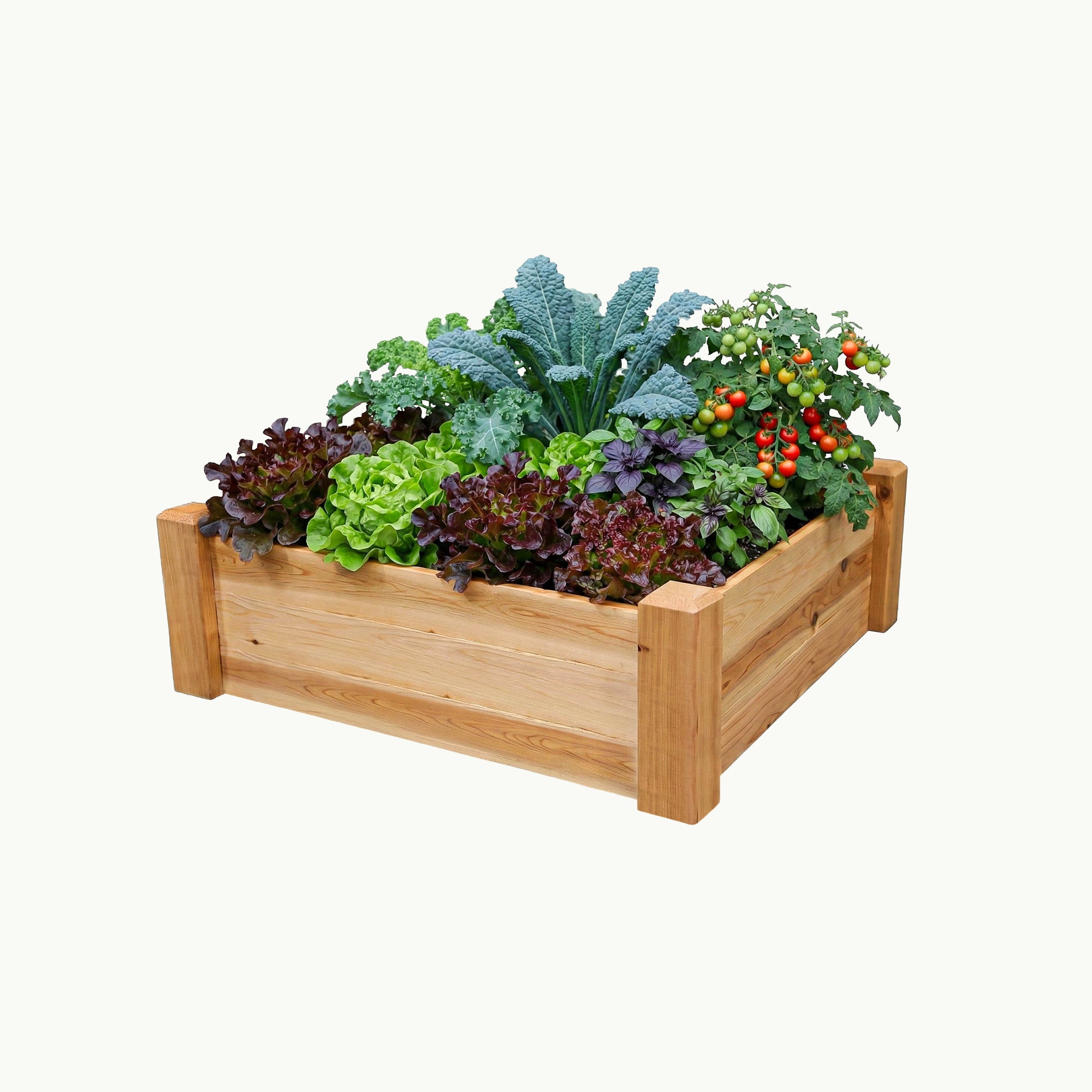 Raised Garden Bed – 34” x 34” Cedar Planter – Gronomics