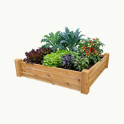 Raised Garden Bed – 48” x 48” – 10.5” Deep Cedar Planter