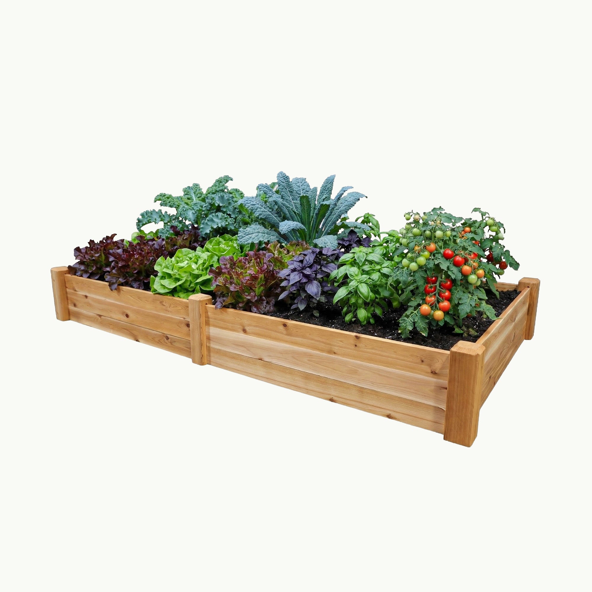 Raised Garden Bed – 48” x 95” – 10.5” Deep Cedar Planter