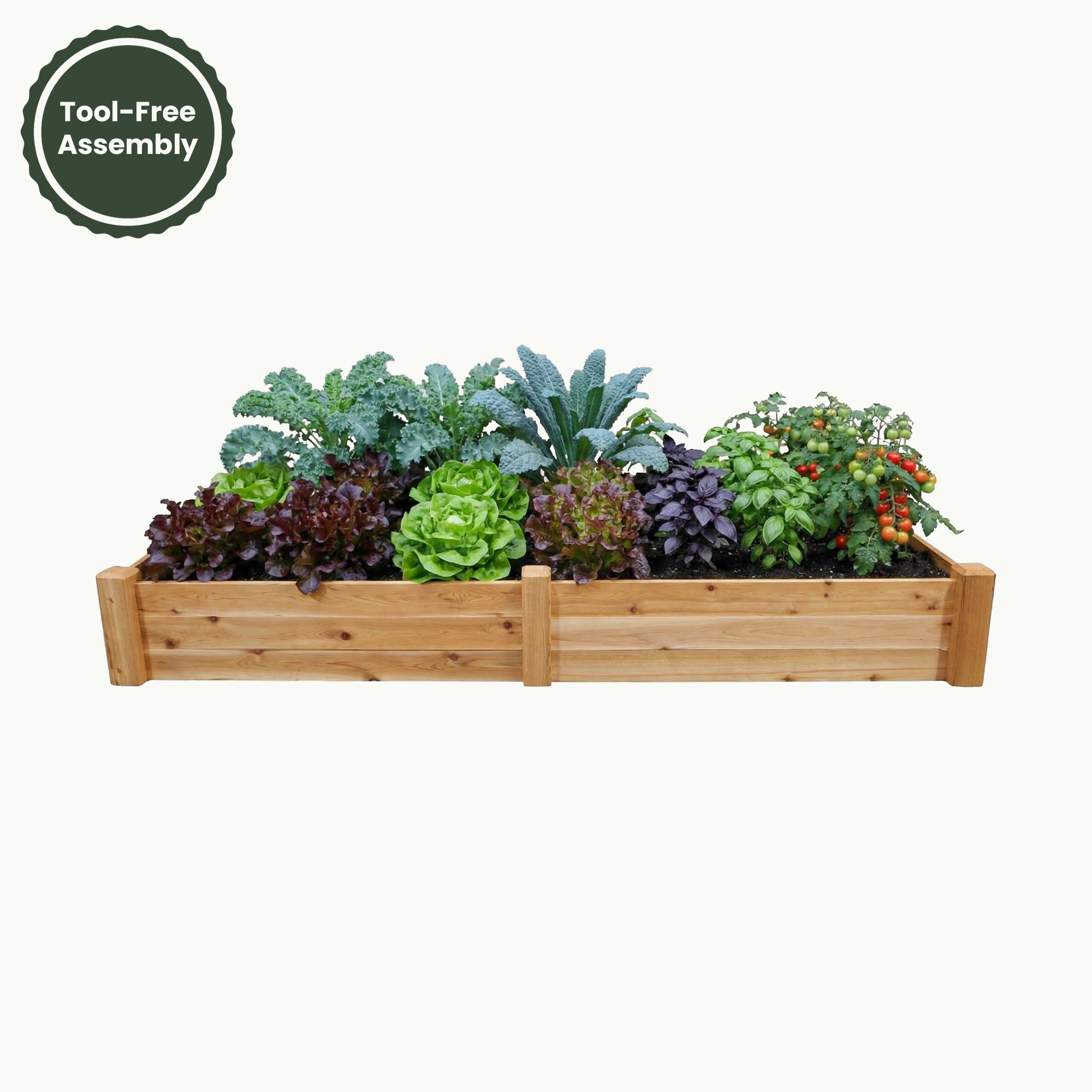 Gronomics Raised Garden Bed Planter - Thumbnail 5