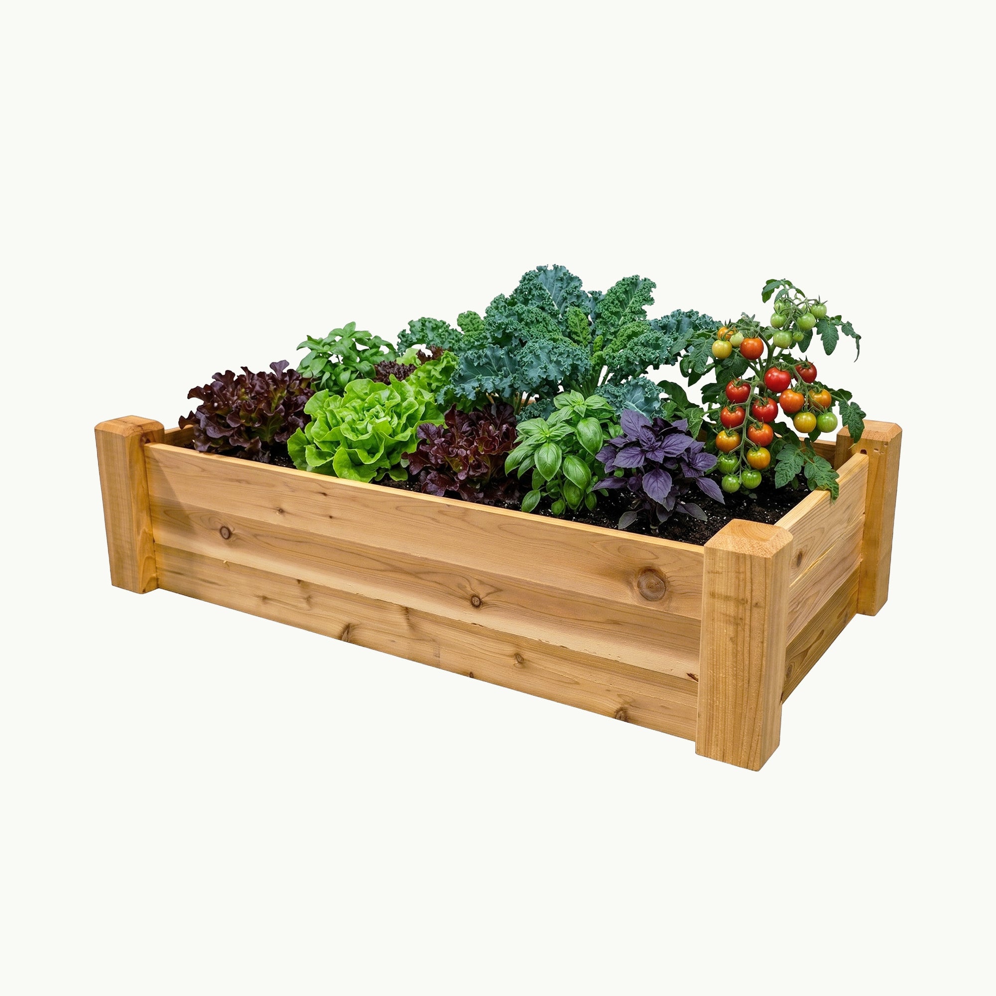 Raised Garden Bed – 24” x 48” Cedar Planter