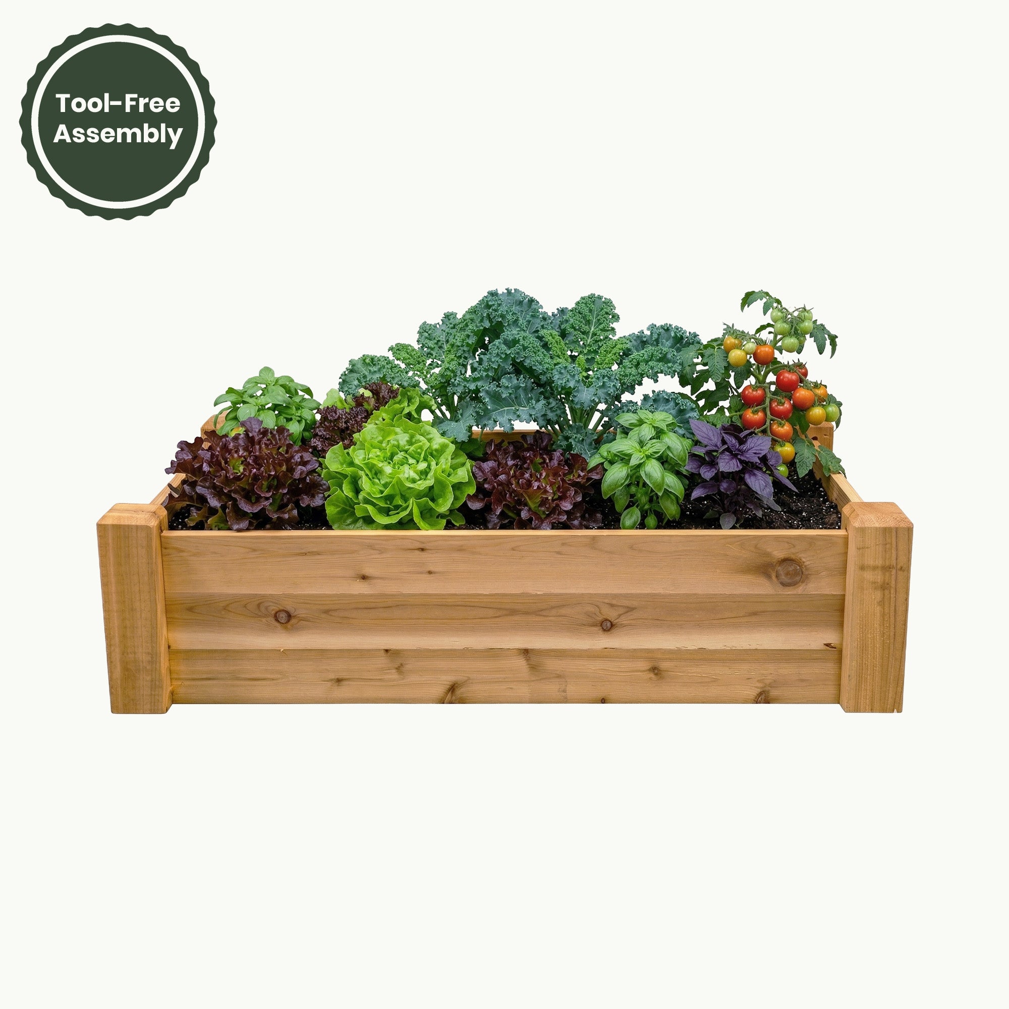 Raised Garden Bed – 24” x 48” Cedar Planter