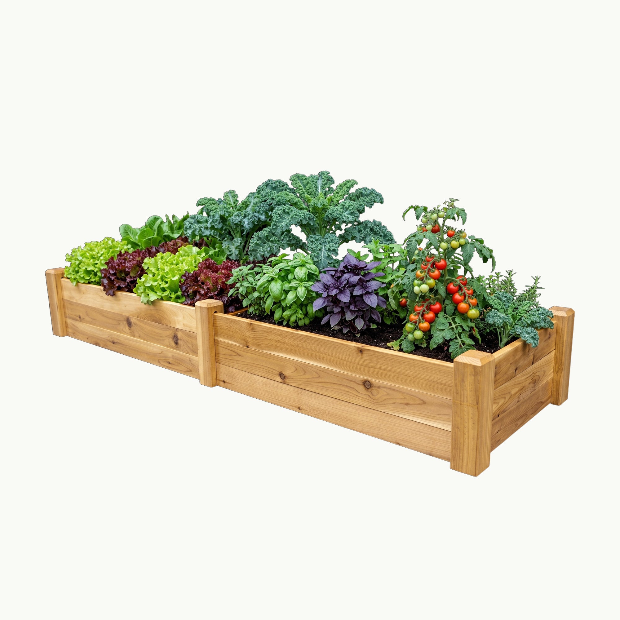 Raised Garden Bed – 24” x 95” Cedar Planter
